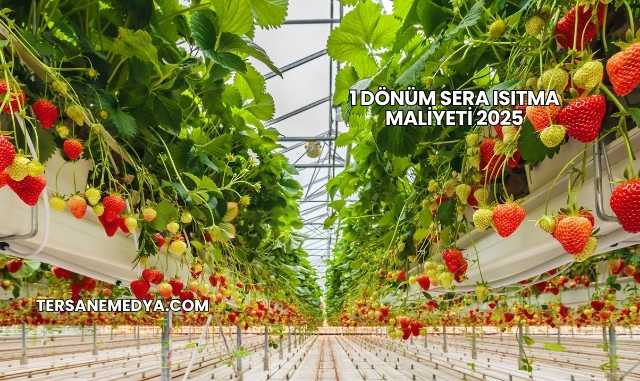 1 Dönüm Sera Isıtma Maliyeti 2025