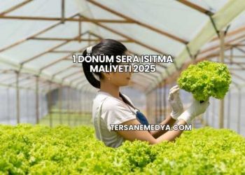 1 Dönüm Sera Isıtma Maliyeti 2025