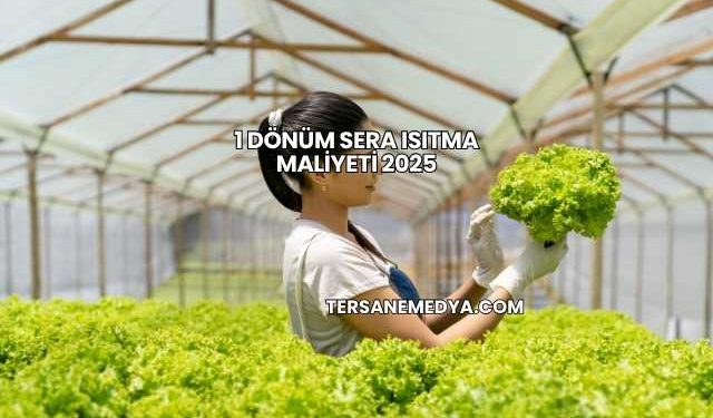 1 Dönüm Sera Isıtma Maliyeti 2025