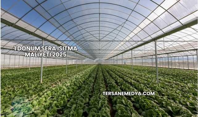 1 Dönüm Sera Isıtma Maliyeti 20251 Dönüm Sera Isıtma Maliyeti 2025