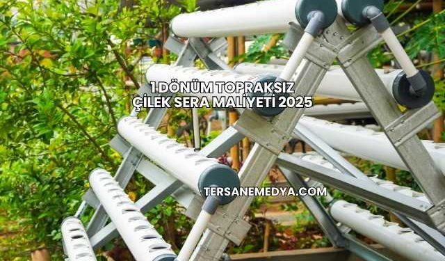 1 Dönüm Topraksız Çilek Sera Maliyeti 2025