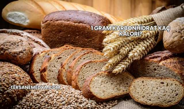 1 Gram Karbonhidrat Kaç Kalori?