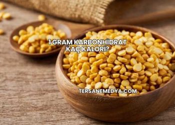 1 Gram Karbonhidrat Kaç Kalori?