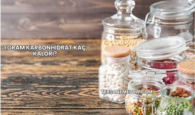 1 Gram Karbonhidrat Kaç Kalori?