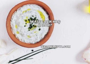 1 Kase Cacık Kaç Kalori?
