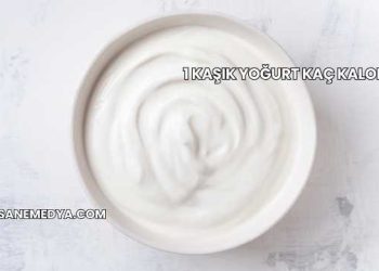 1 Kaşık Yoğurt Kaç Kalori?
