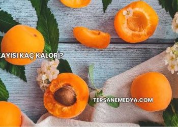 1 Kayısı Kaç Kalori?