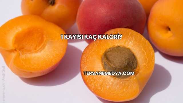 1 Kayısı Kaç Kalori?