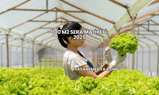 100 M2 Sera Maliyeti 2025