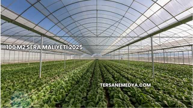 100 M2 Sera Maliyeti 2025