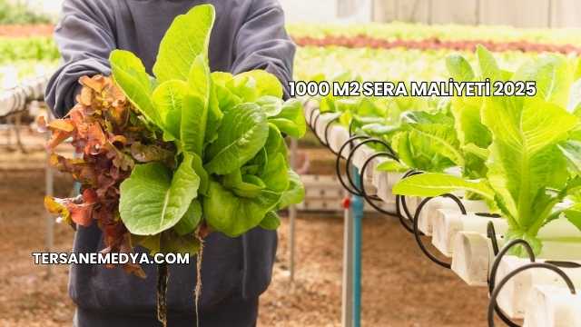 1000 m2 Sera Maliyeti 2025