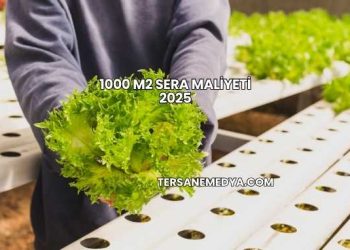 1000 m2 Sera Maliyeti 2025
