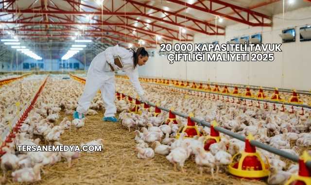20.000 Kapasiteli Tavuk Çiftliği Maliyeti 2025