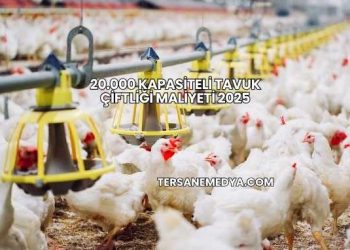 20.000 Kapasiteli Tavuk Çiftliği Maliyeti 2025