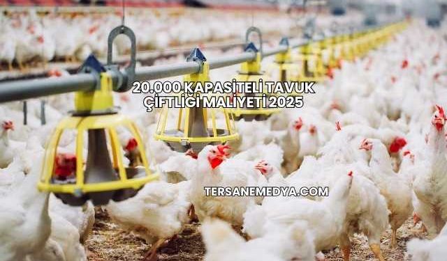 20.000 Kapasiteli Tavuk Çiftliği Maliyeti 2025