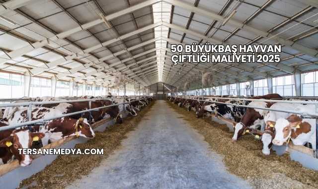 50 Büyükbaş Hayvan Çiftliği Maliyeti 2025