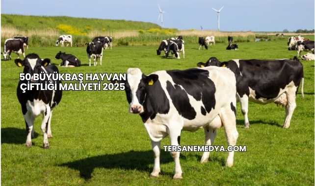 50 Büyükbaş Hayvan Çiftliği Maliyeti 2025