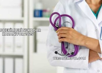Aile Hekimleri Ne Kadar Kazanıyor 2025