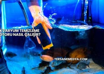 Akvaryum Temizleme Motoru Nasıl Çalışır?
