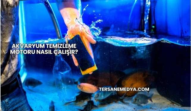Akvaryum Temizleme Motoru Nasıl Çalışır?