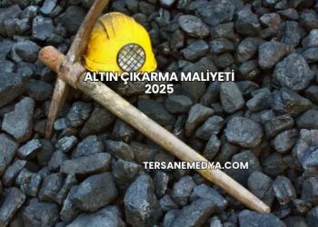 Altın Çıkarma Maliyeti 2025