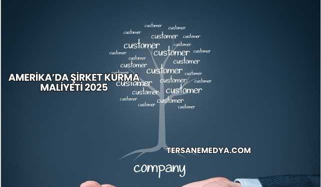 Amerika’da Şirket Kurma Maliyeti 2025