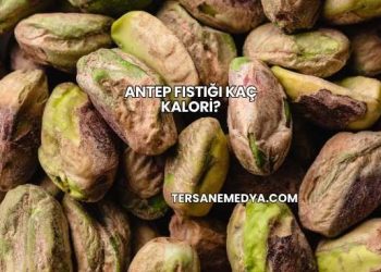 Antep Fıstığı Kaç Kalori?