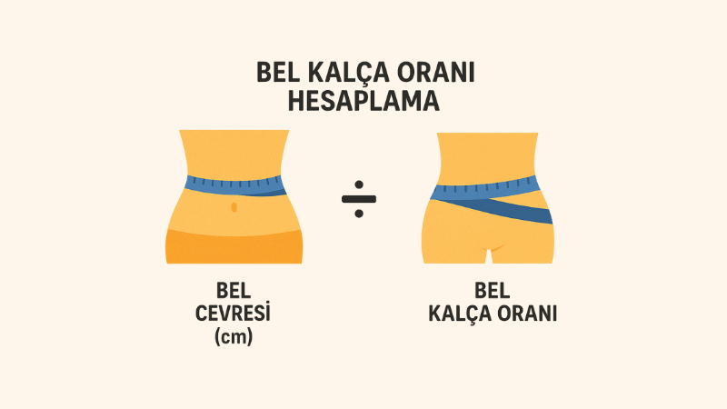 Bel Kalça Oranı Hesaplama