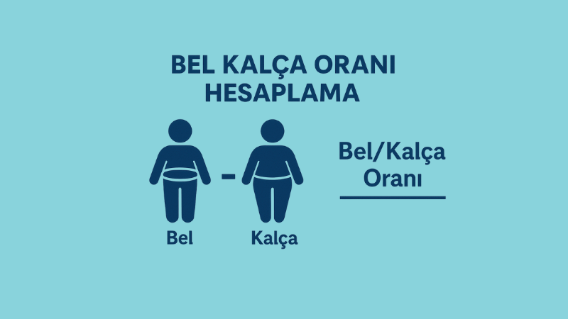 Bel Kalça Oranı Hesaplama
