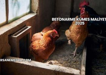 Betonarme Kümes Maliyeti 2025