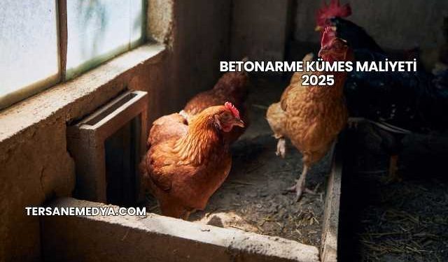 Betonarme Kümes Maliyeti 2025