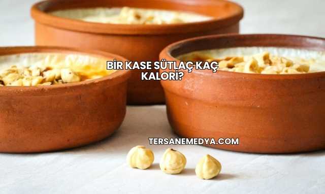 Bir Kase Sütlaç Kaç Kalori?