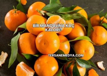 Bir Mandalina Kaç Kalori?