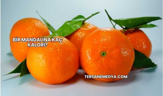 Bir Mandalina Kaç Kalori?