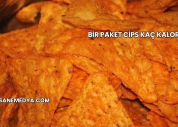 Bir Paket Cips Kaç Kalori?