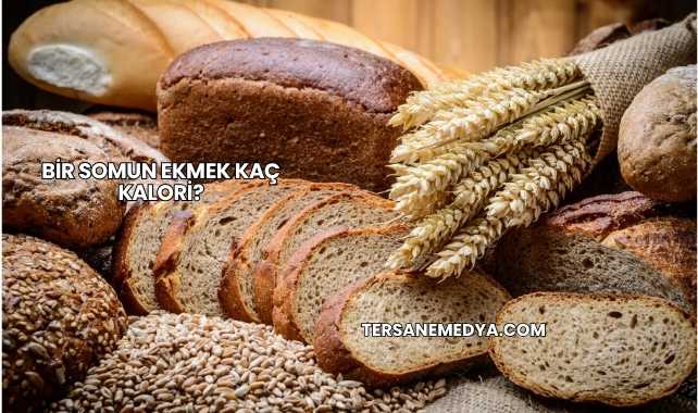 Bir Somun Ekmek Kaç Kalori?