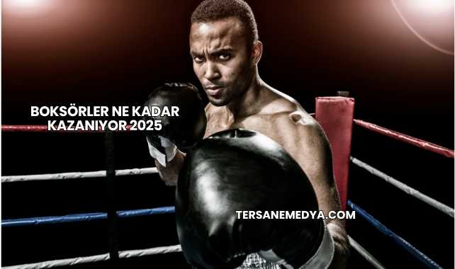 Boksörler Ne Kadar Kazanıyor 2025