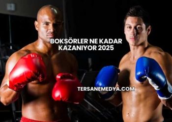 Boksörler Ne Kadar Kazanıyor 2025