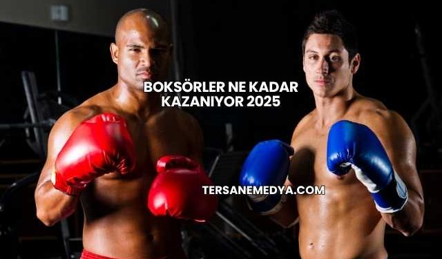 Boksörler Ne Kadar Kazanıyor 2025