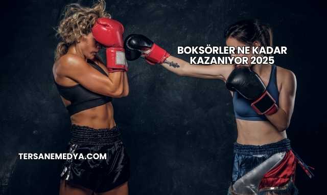 Boksörler Ne Kadar Kazanıyor 2025
