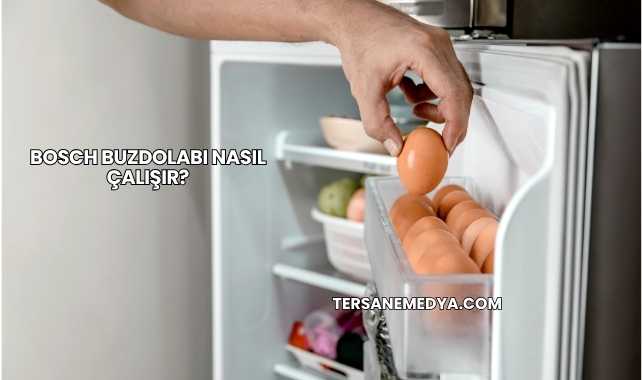 Bosch Buzdolabı Nasıl Çalışır?