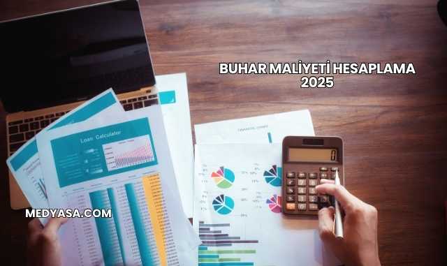 Buhar Maliyeti Hesaplama 2025