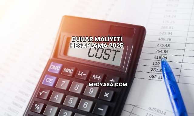 Buhar Maliyeti Hesaplama 2025