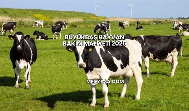 Büyükbaş Hayvan Bakım Maliyeti 2025