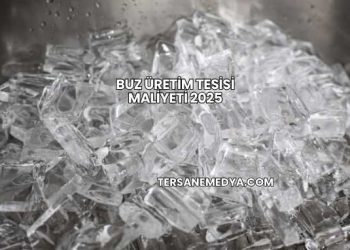 Buz Üretim Tesisi Maliyeti 2025