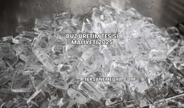 Buz Üretim Tesisi Maliyeti 2025