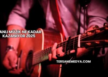 Canlı Müzik Ne Kadar Kazanıyor 2025