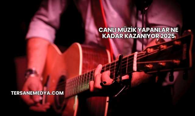 Canlı Müzik Yapanlar Ne Kadar Kazanıyor 2025