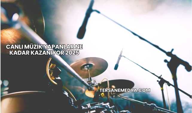 Canlı Müzik Yapanlar Ne Kadar Kazanıyor 2025