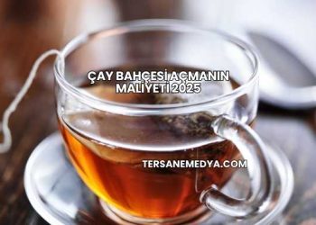 Çay Bahçesi Açmanın Maliyeti 2025